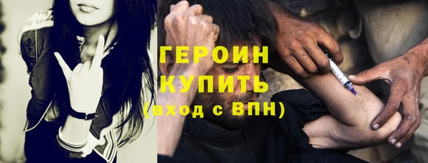 индика Осташков