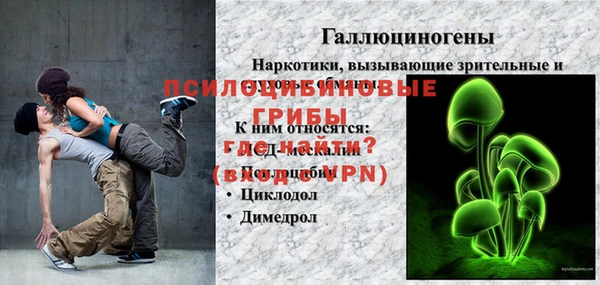 сатива Осинники