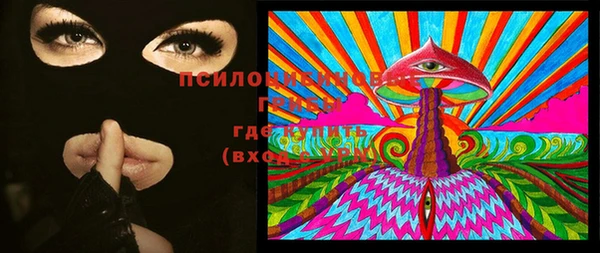 индика Осташков