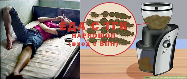 индика Осташков